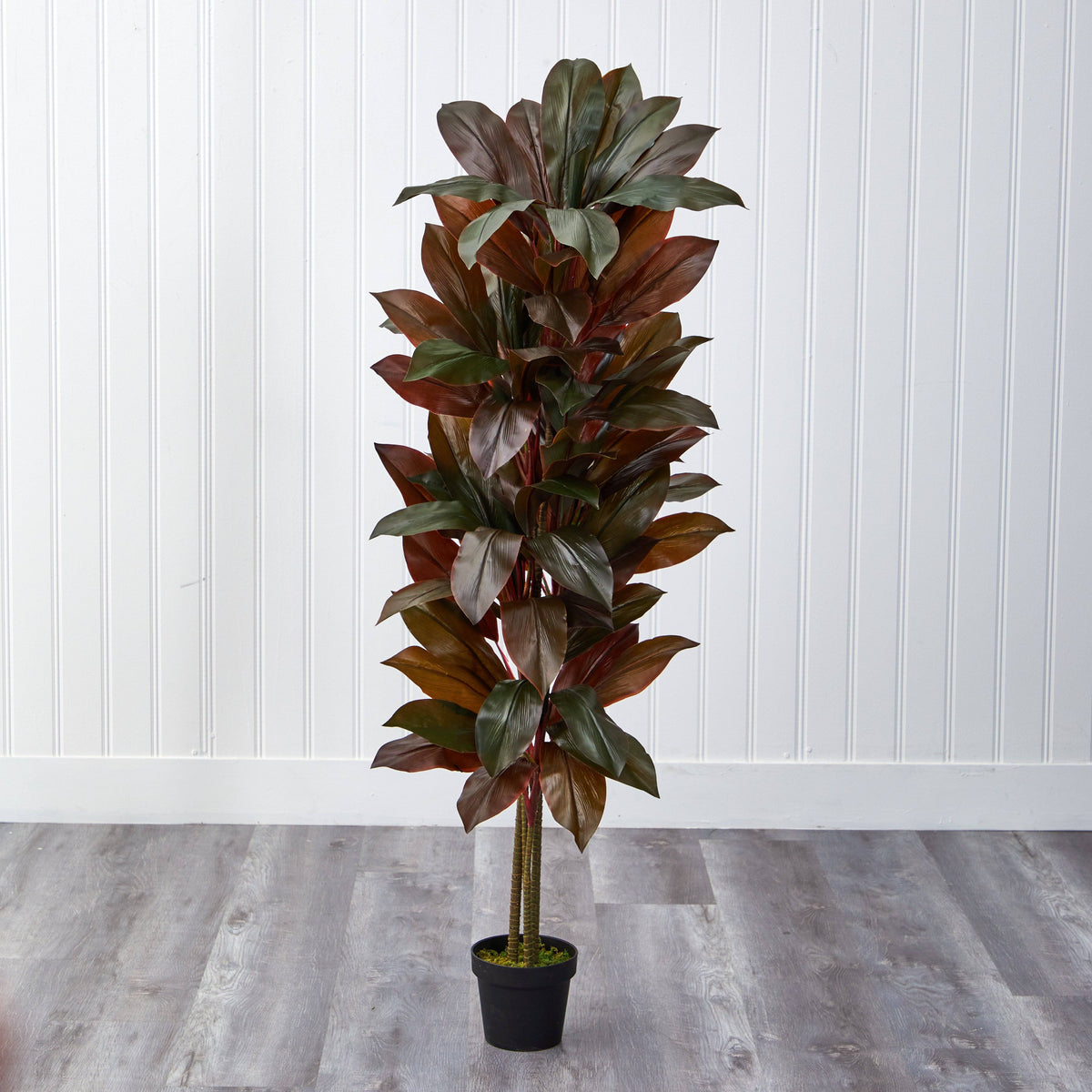 5' Cordyline Silk Plant Real Touch by Nearly Natural with brown green leaves in a black pot on Tampa Home & Garden Store