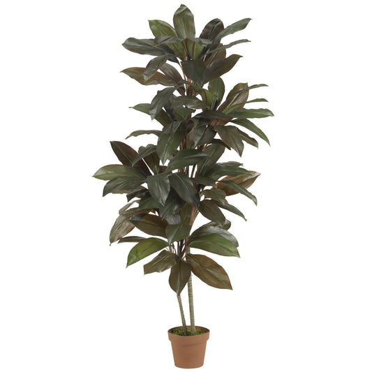 Artificial Cordyline Silk Plant 5' Real Touch by Nearly Natural in terracotta pot on Tampa Home & Garden Store
