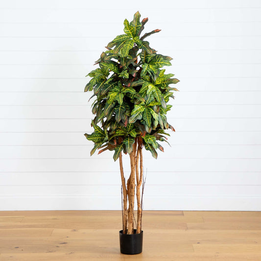 5' Croton Silk Tree by Nearly Natural in a black pot with multiple trunks and variegated leaves on Tampa Home & Garden Store