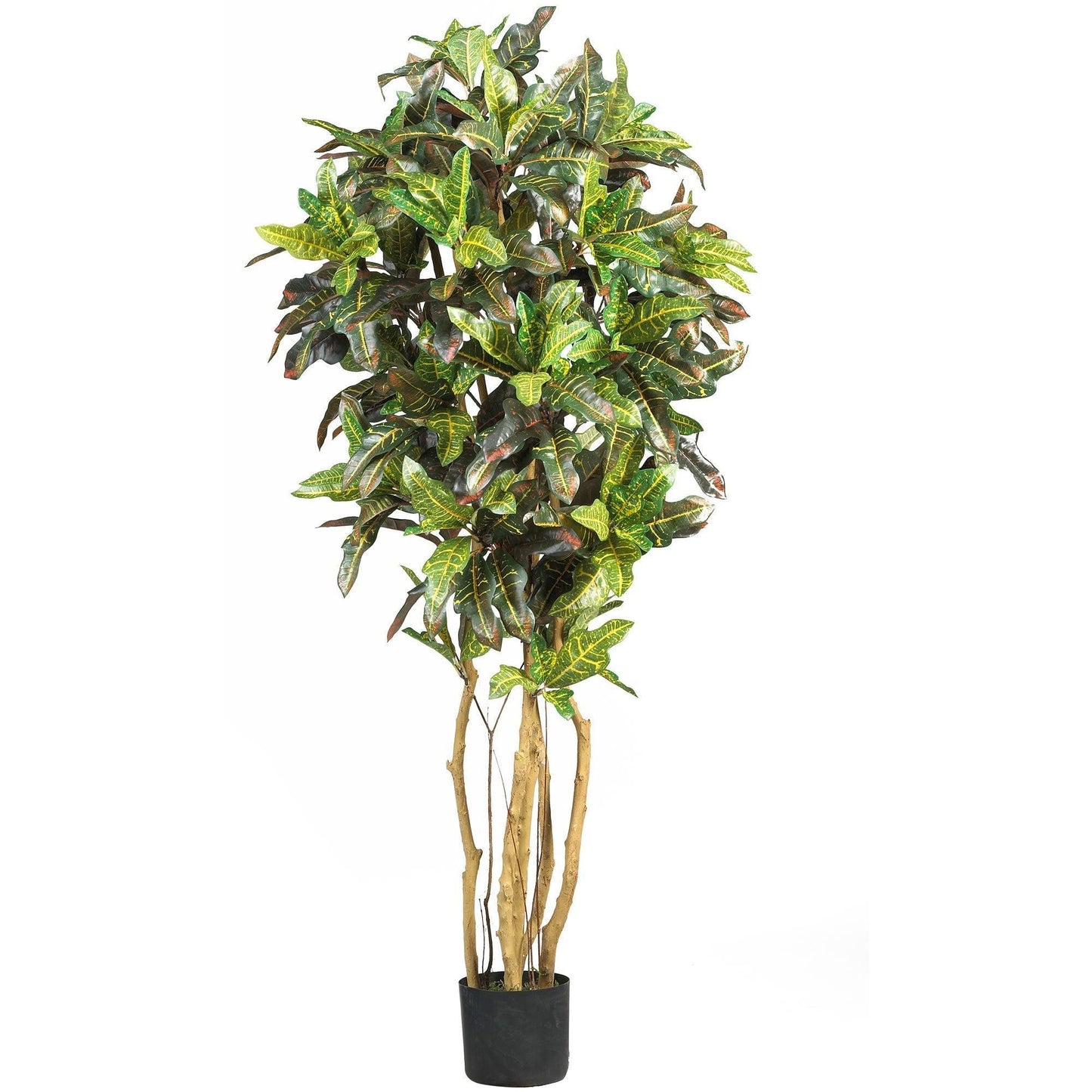 5' Croton Silk Tree by Nearly Natural with variegated green and yellow leaves in a black pot on Tampa Home & Garden Store