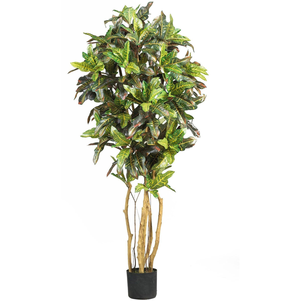 5' Croton Silk Tree by Nearly Natural with variegated green and yellow leaves in a black pot on Tampa Home & Garden Store