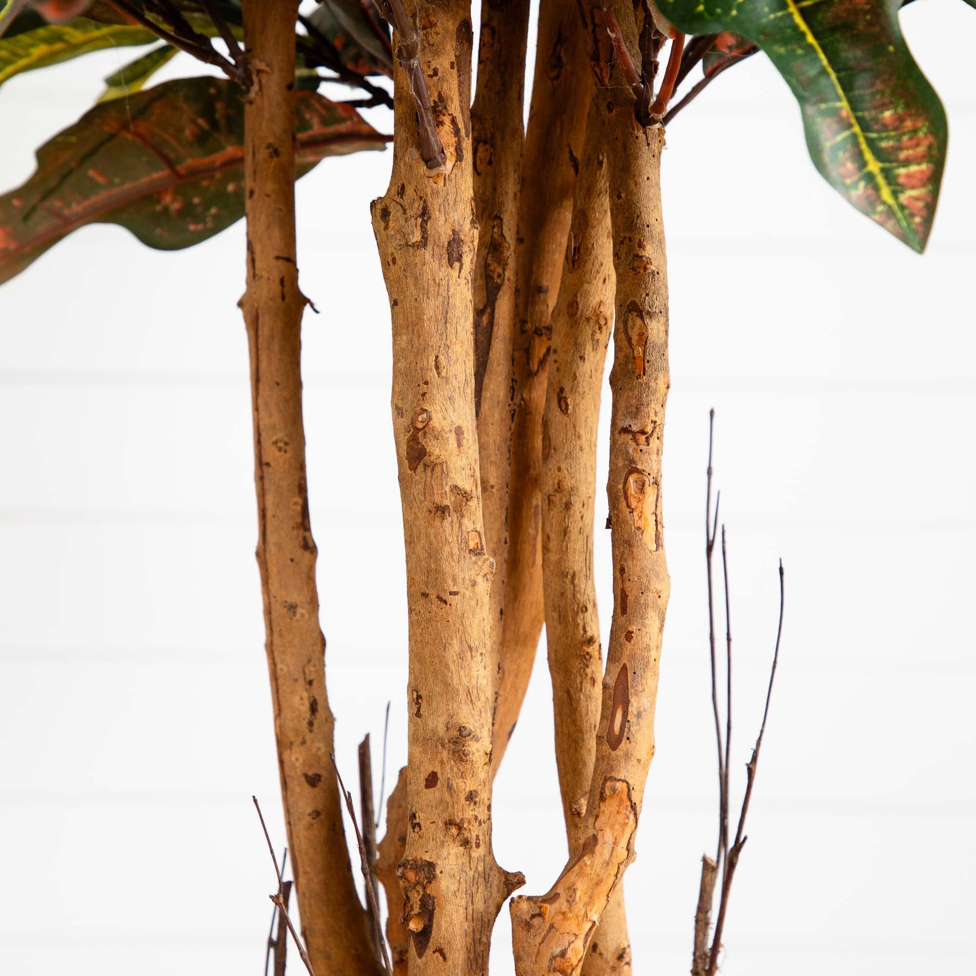 5' Croton Silk Tree by Nearly Natural with brown textured trunks and variegated croton leaves on Tampa Home & Garden Store