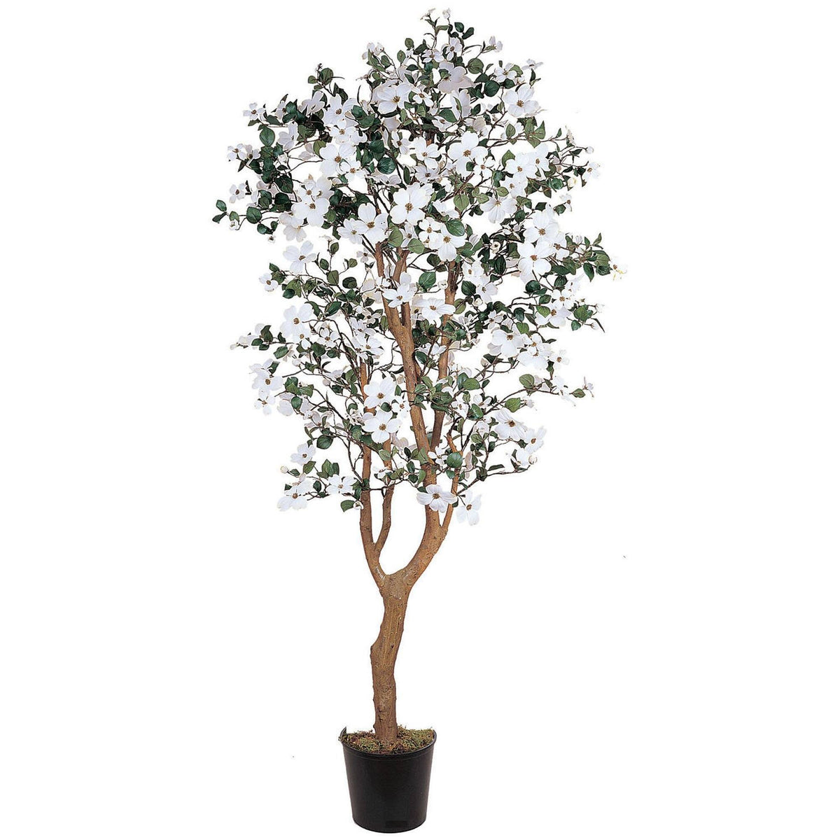 5' Dogwood Silk Tree artificial tree with white blossoms and green leaves in black pot on Tampa Home & Garden Store