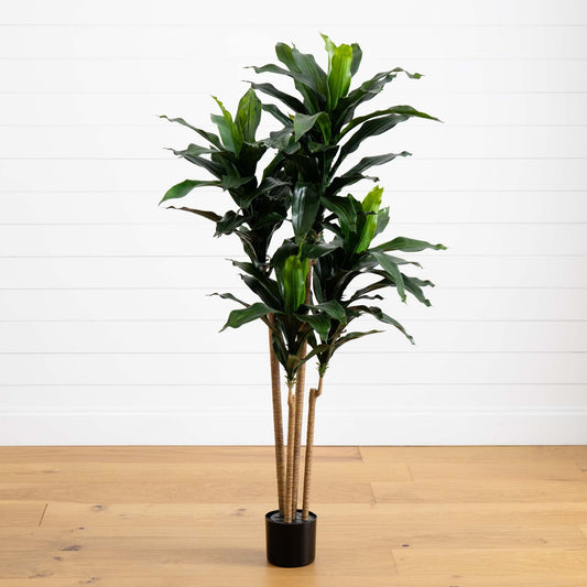 5’ Dracaena Plant UV Resistant (Indoor/Outdoor) - Tampa Home & Garden Store