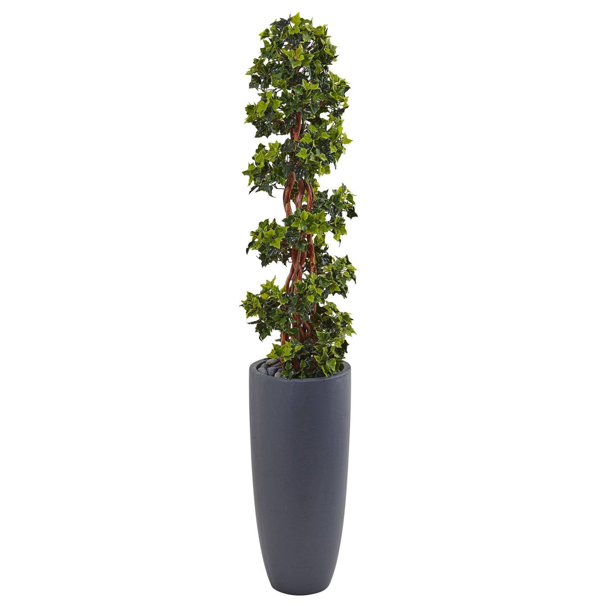 5 ft English Ivy spiral topiary tree in gray cylinder planter UV resistant indoor/outdoor on Tampa Home & Garden Store