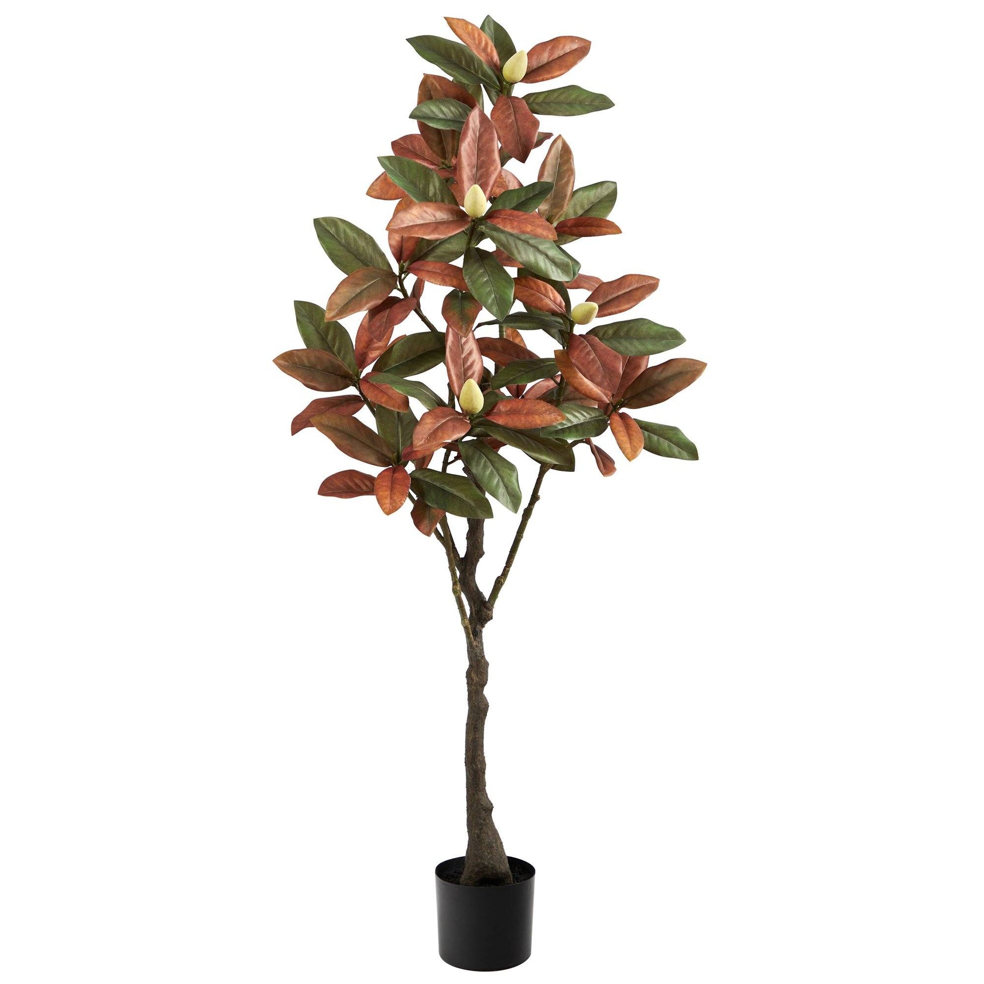 5’ Fall Magnolia artificial tree with green red orange leaves in a black pot by Nearly Natural on Tampa Home & Garden Store