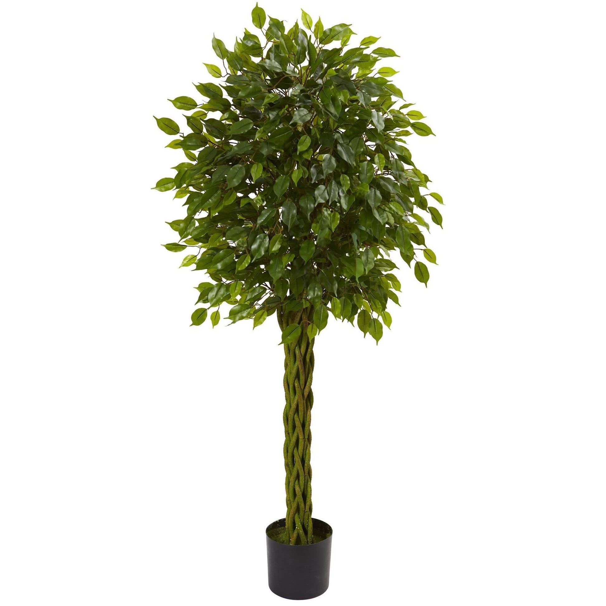 Nearly Natural 5' Ficus Artificial Tree with Woven Trunk UV Resistant indoor/outdoor in black pot on Tampa Home & Garden Store
