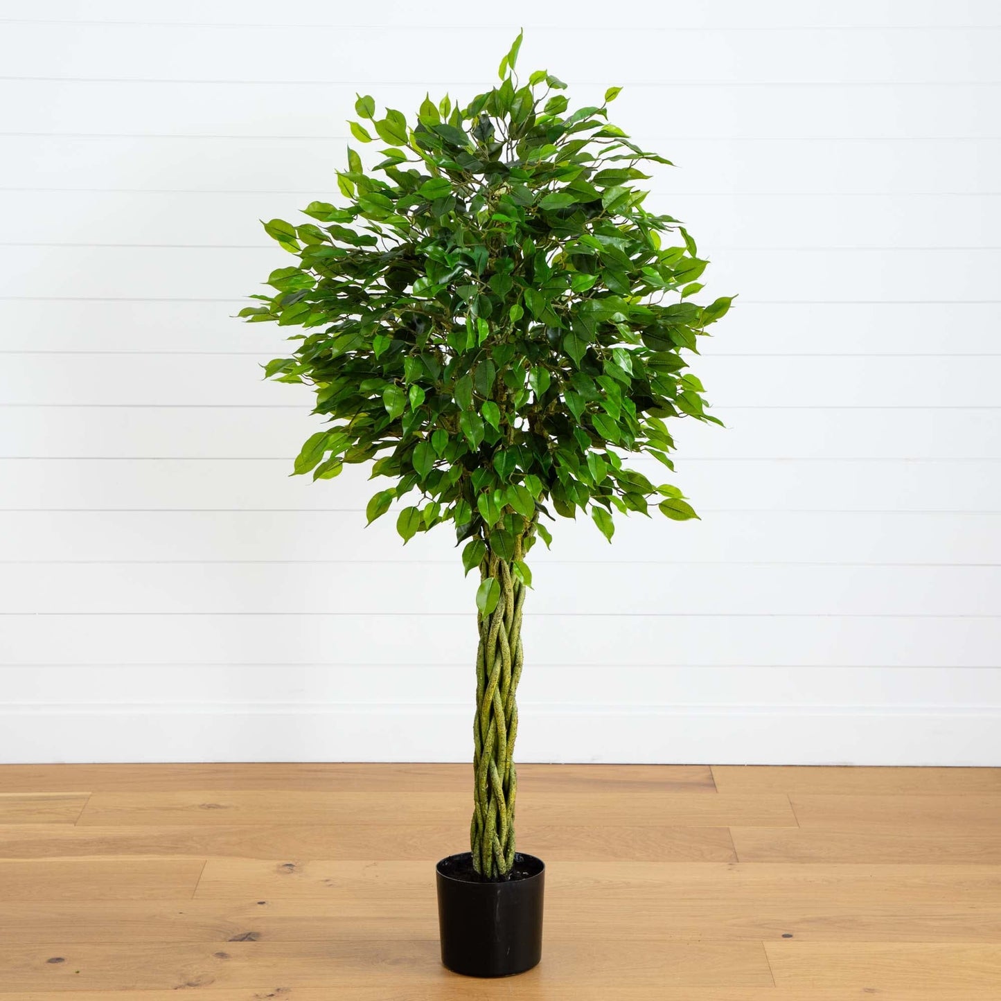5' Ficus Artificial Tree with woven trunk UV resistant by Nearly Natural in black pot on Tampa Home & Garden Store