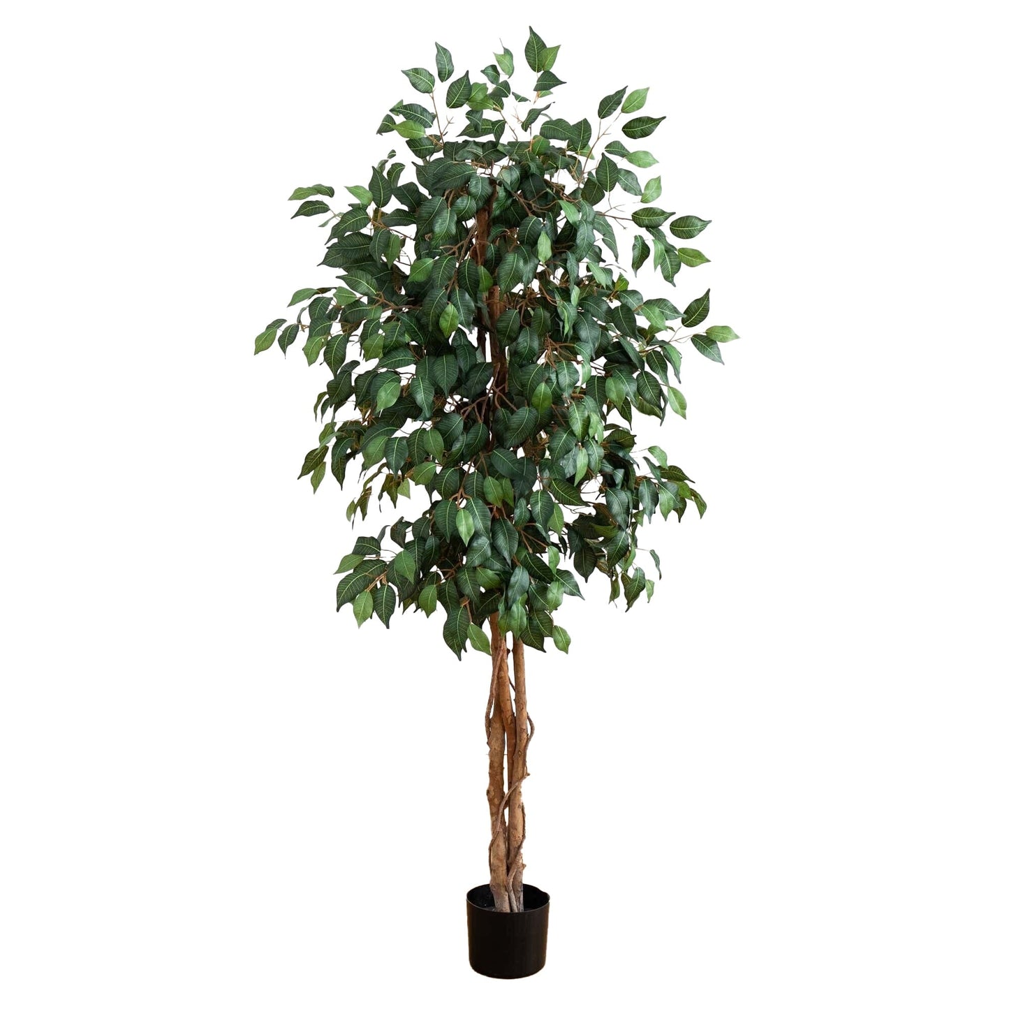 Árbol de seda ficus de 5 pies