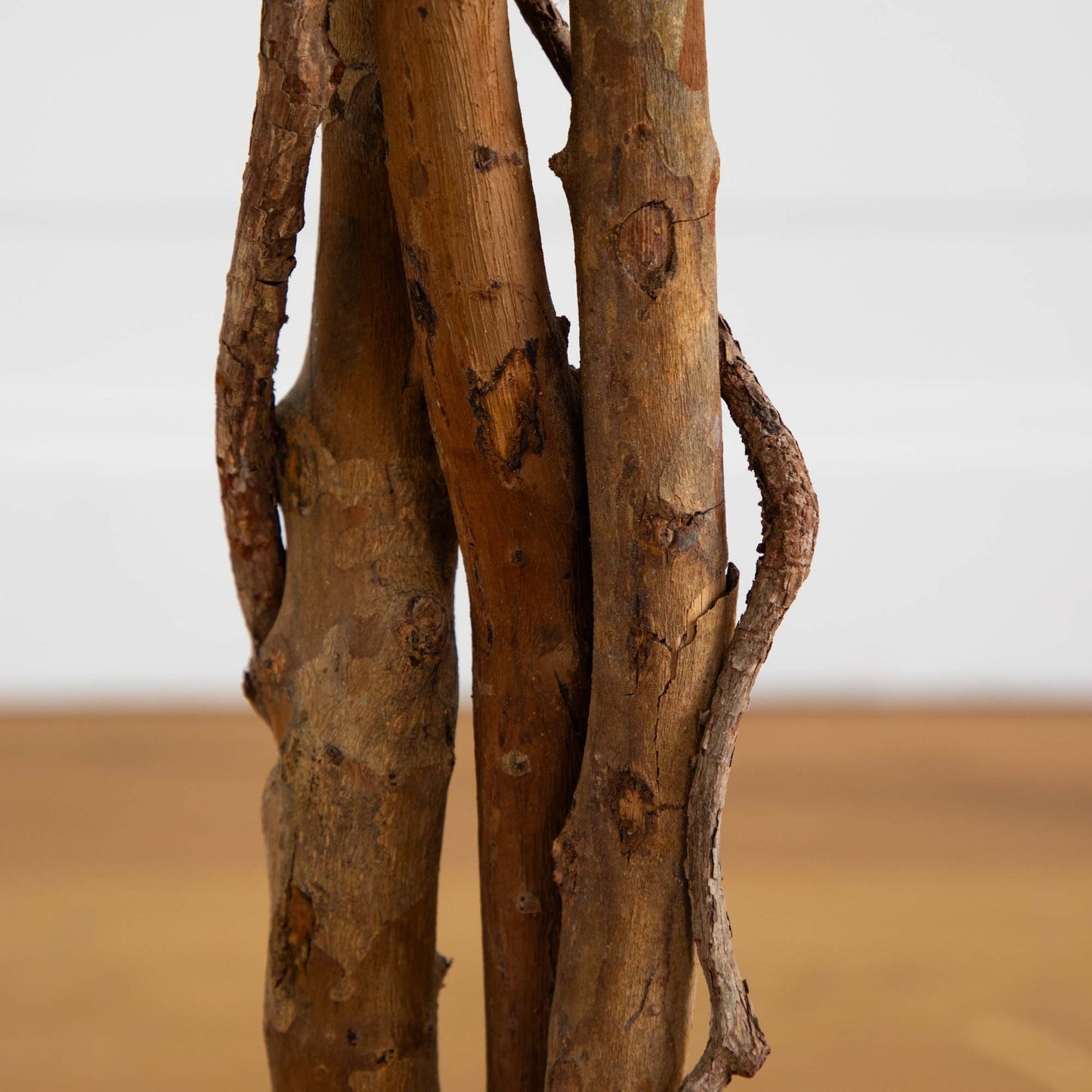 Árbol de seda ficus de 5 pies