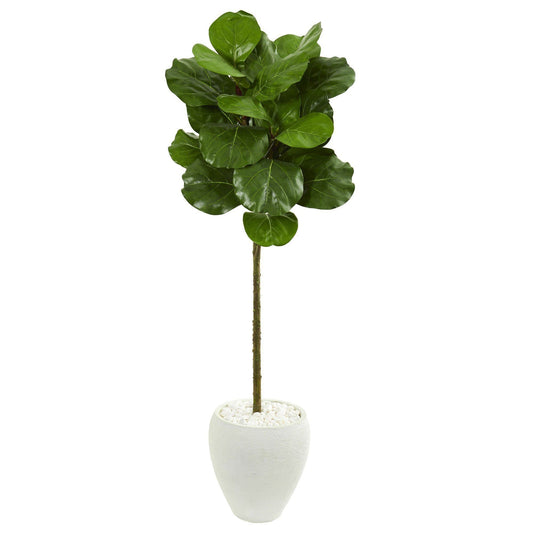 5ft fiddle leaf artificial tree in white planter with white stones on Tampa Home & Garden Store