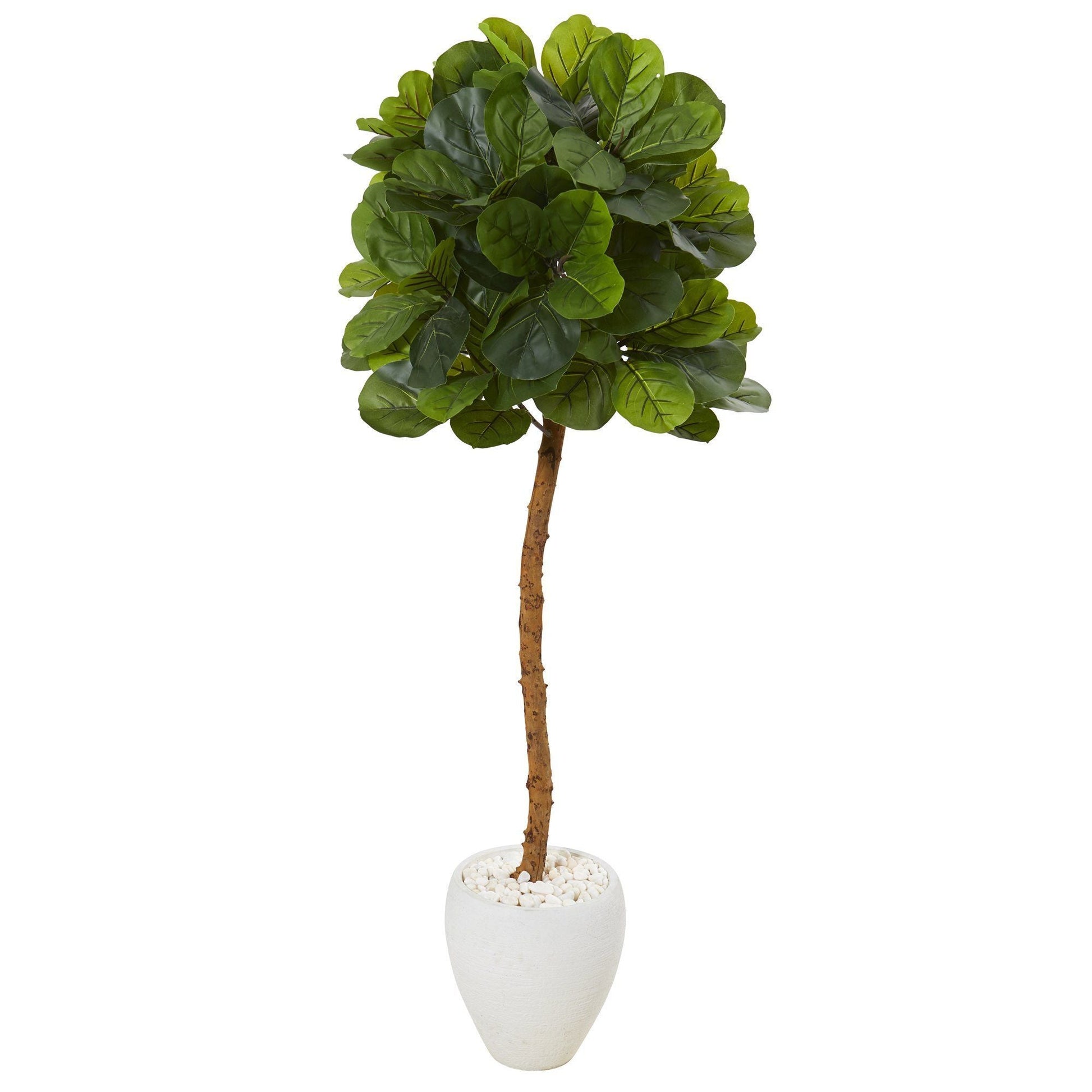 5 ft Fiddle Leaf Artificial Tree in White Planter with white stones by Nearly Natural on Tampa Home & Garden Store