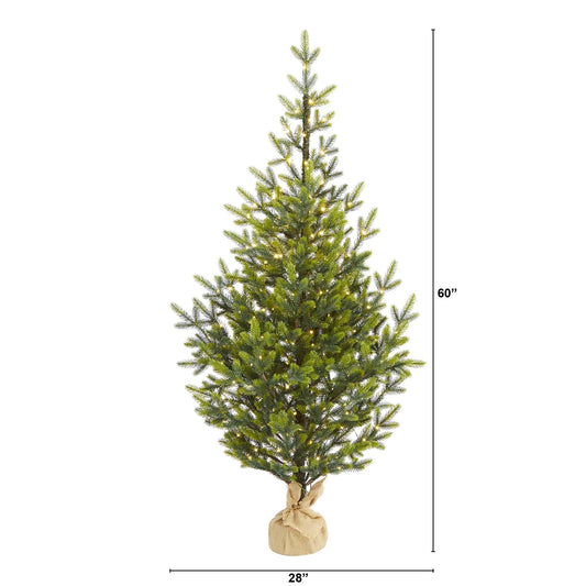 5’ Fraser Fir Natural Look artificial Christmas tree with 200 clear LED lights and burlap base on Tampa Home & Garden Store