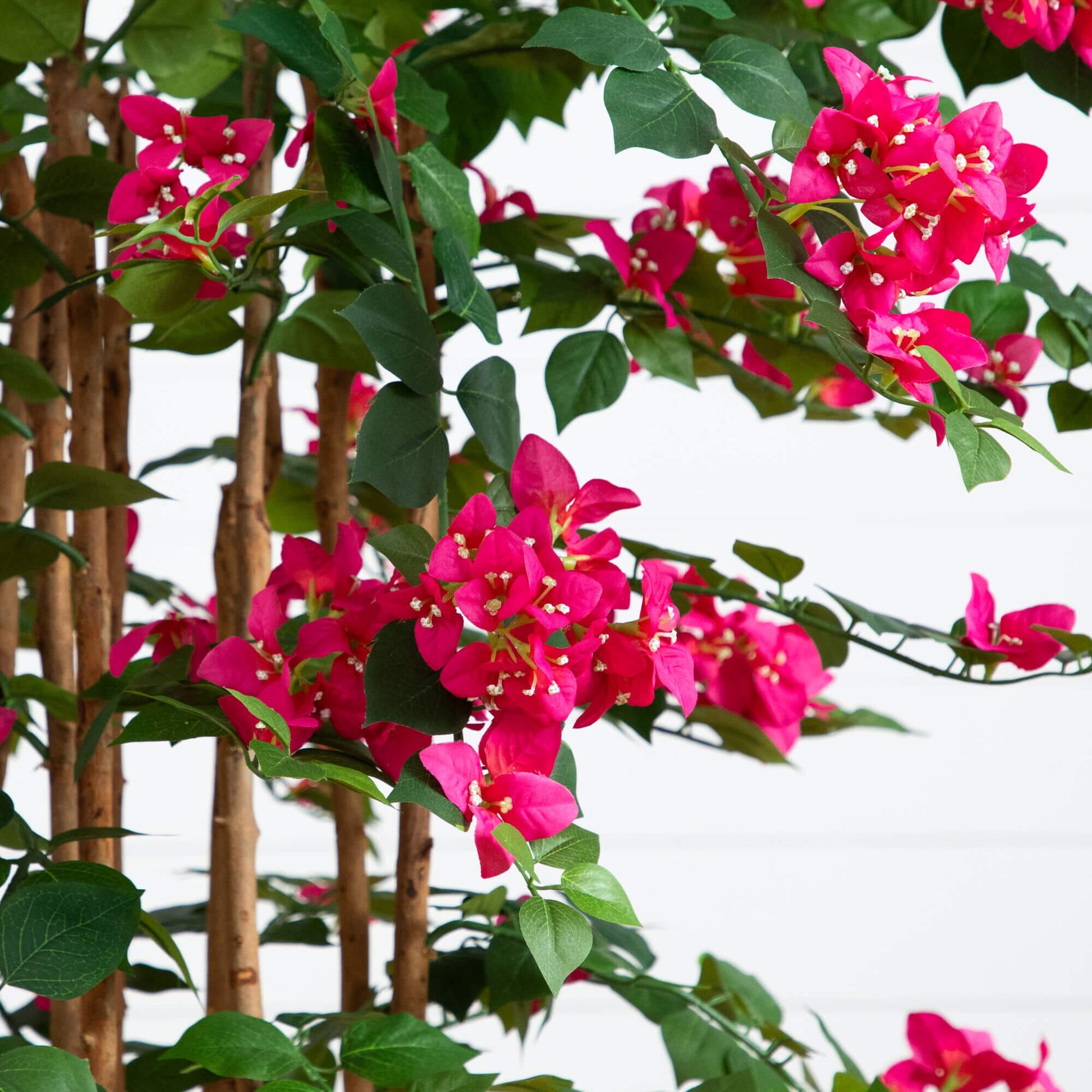 5' artificial bougainvillea tree with vivid pink blossoms, green leaves, and brown trunks on Tampa Home & Garden Store