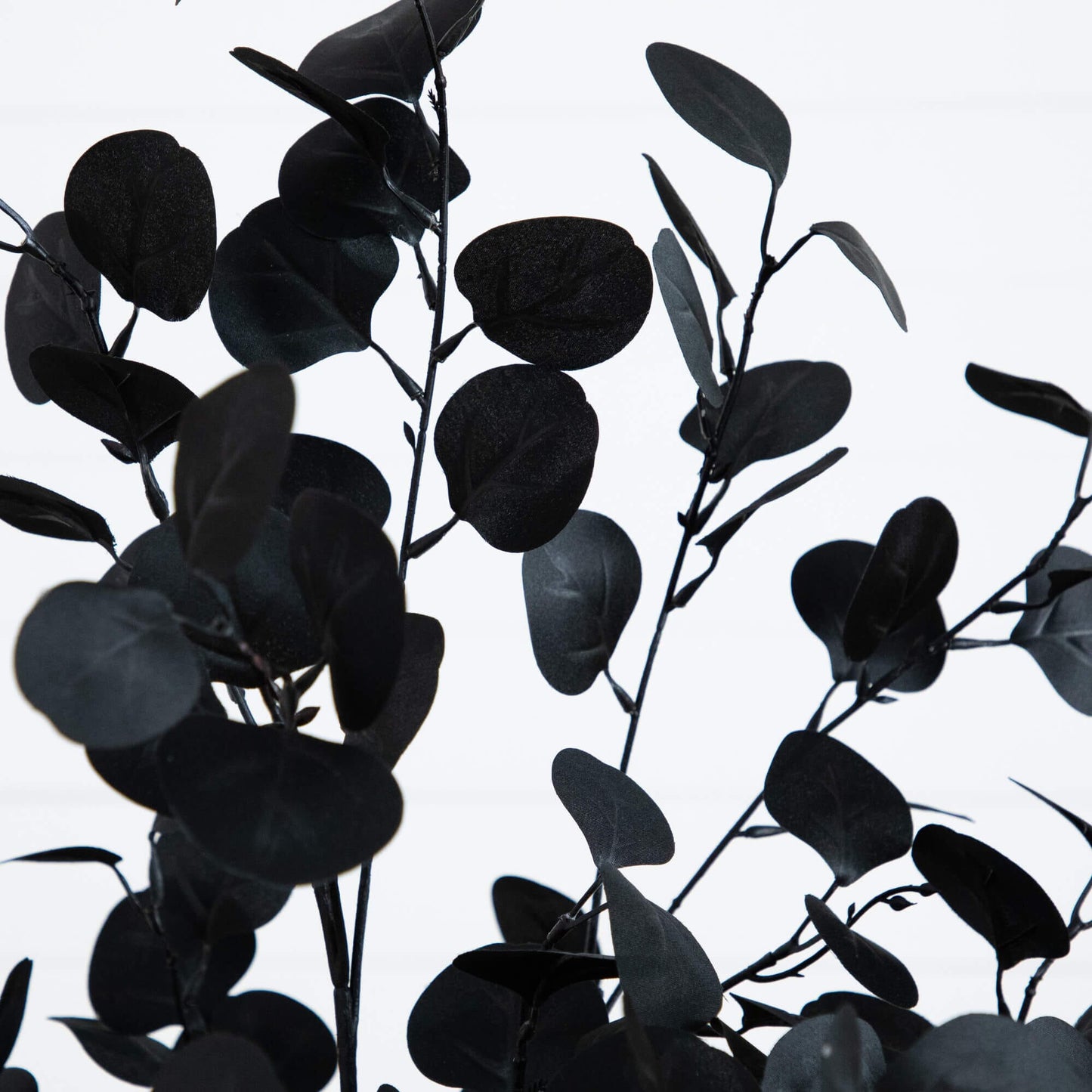 5' artificial Halloween black eucalyptus tree by Nearly Natural with dark oval leaves on Tampa Home & Garden Store
