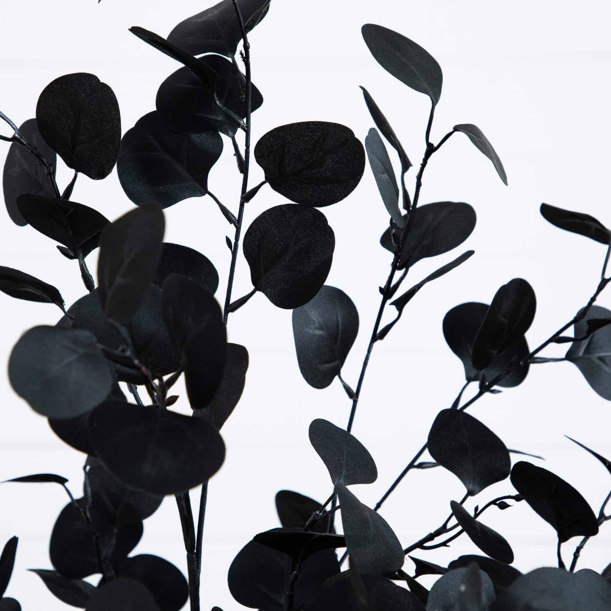 5' artificial Halloween black eucalyptus tree by Nearly Natural with dark oval leaves on Tampa Home & Garden Store