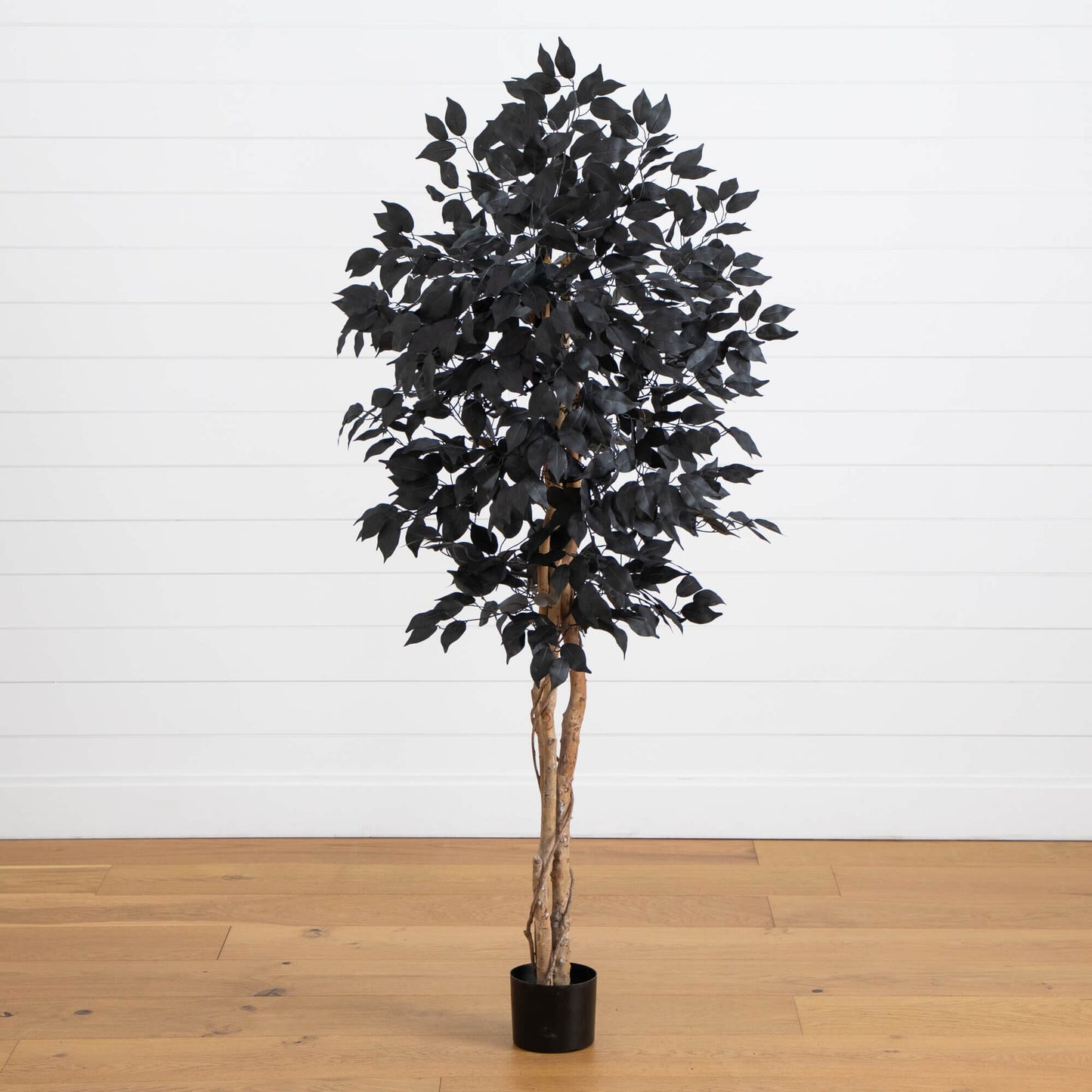 5' Nearly Natural Halloween Black Ficus Tree, artificial with natural trunk in black pot on Tampa Home & Garden Store