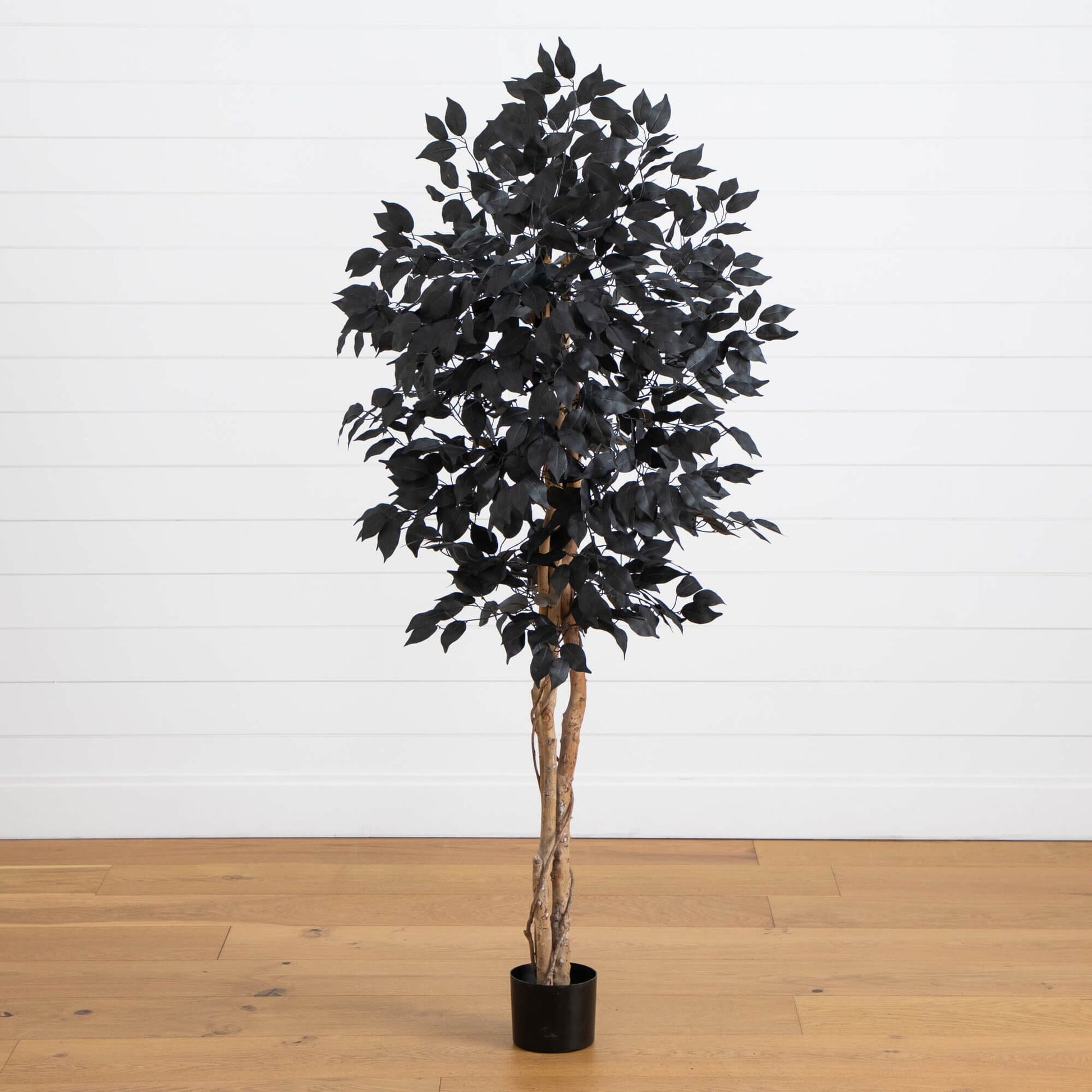 5' Nearly Natural Halloween Black Ficus Tree, artificial with natural trunk in black pot on Tampa Home & Garden Store