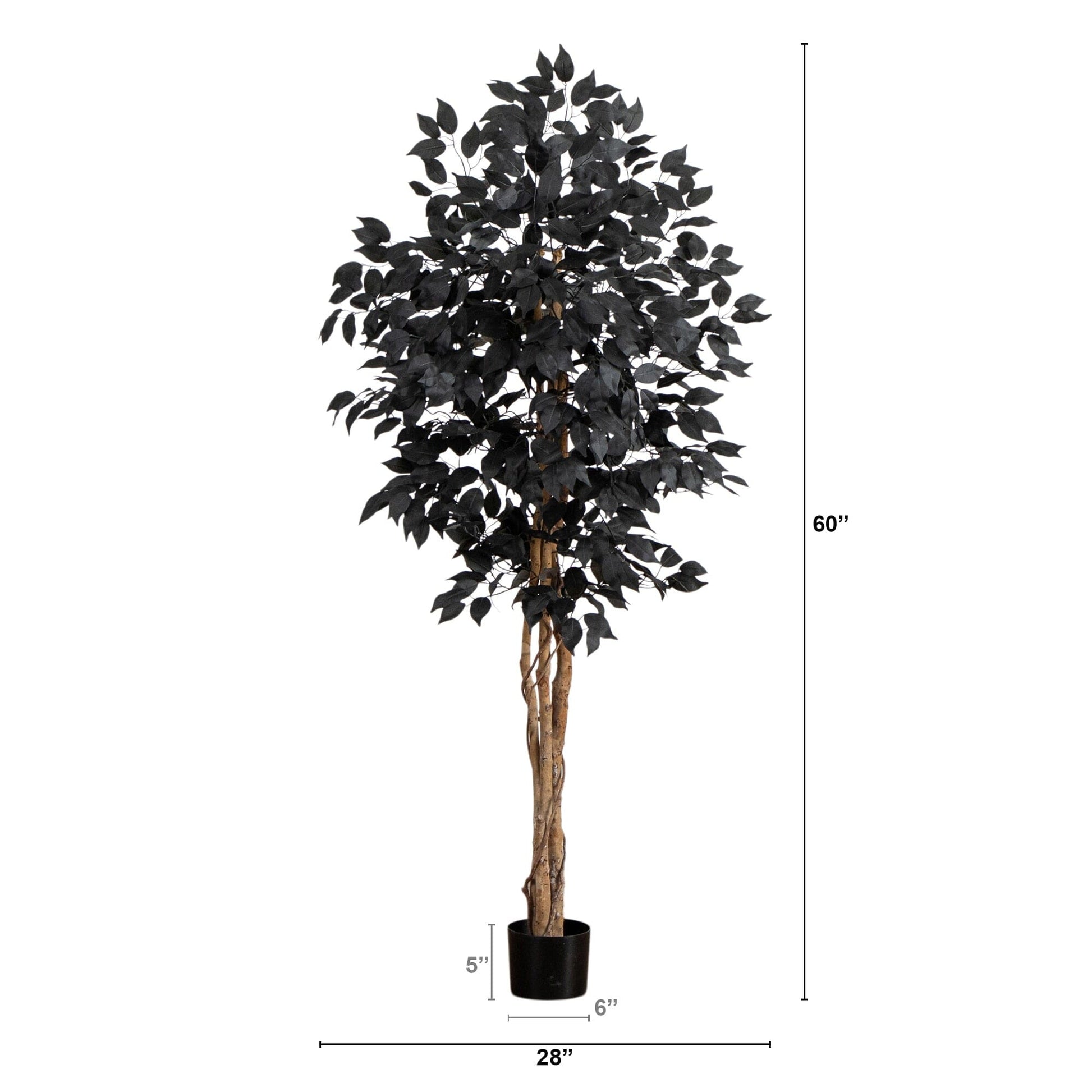 5 ft Nearly Natural Black Ficus Artificial Tree with natural trunk on Tampa Home & Garden Store