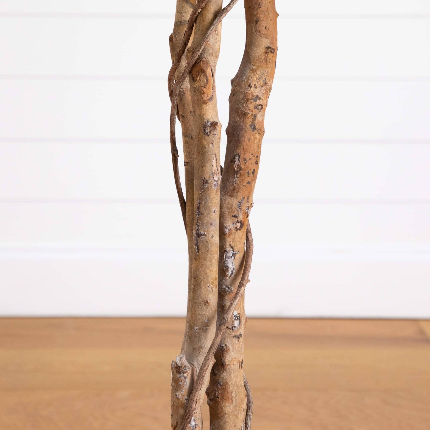 5' Artificial Halloween Black Ficus Tree with Natural Trunk by Nearly Natural, brown bark on Tampa Home & Garden Store