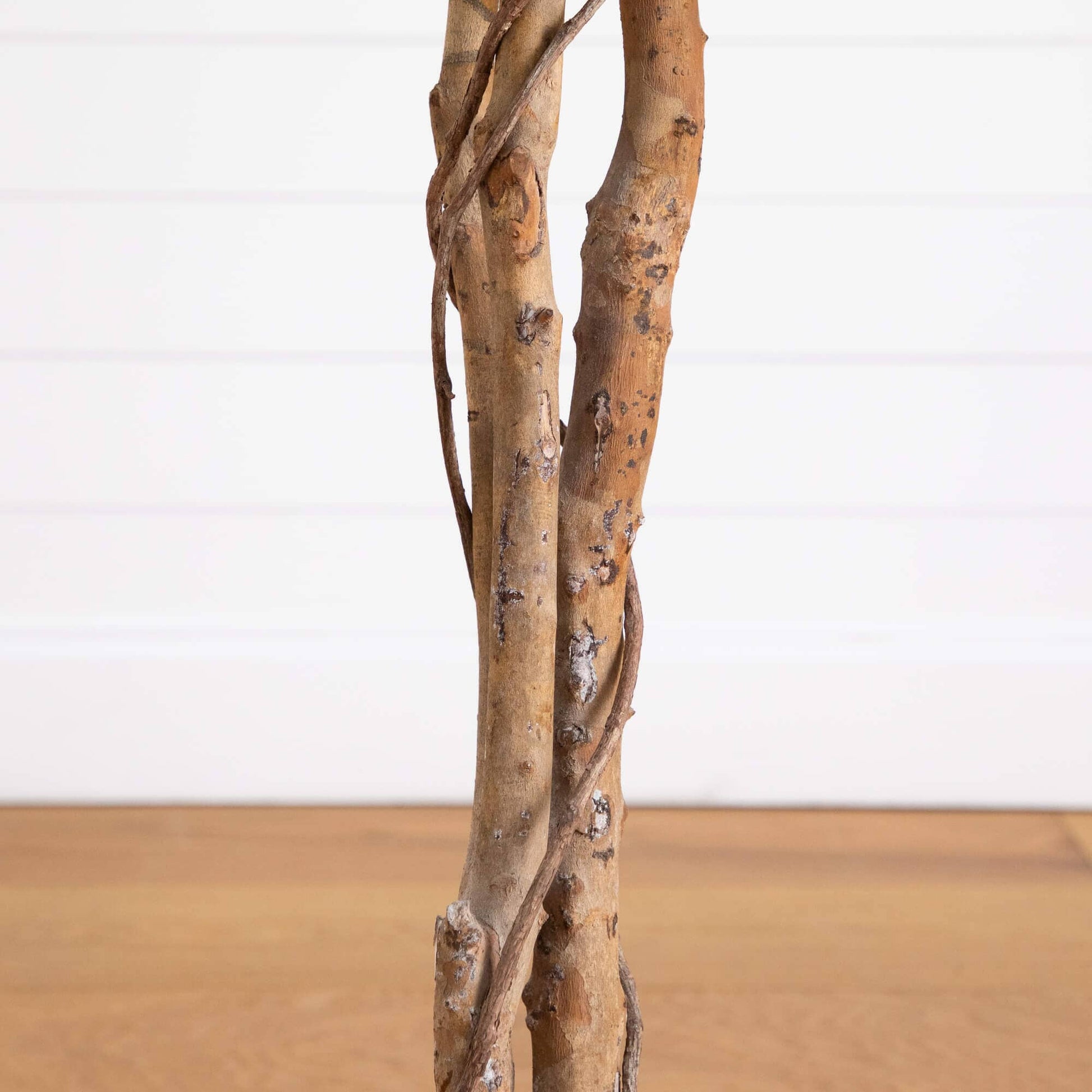 5' Artificial Halloween Black Ficus Tree with Natural Trunk by Nearly Natural, brown bark on Tampa Home & Garden Store