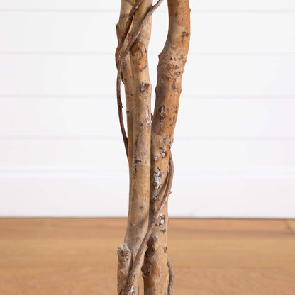5' Artificial Halloween Black Ficus Tree with Natural Trunk by Nearly Natural, brown bark on Tampa Home & Garden Store