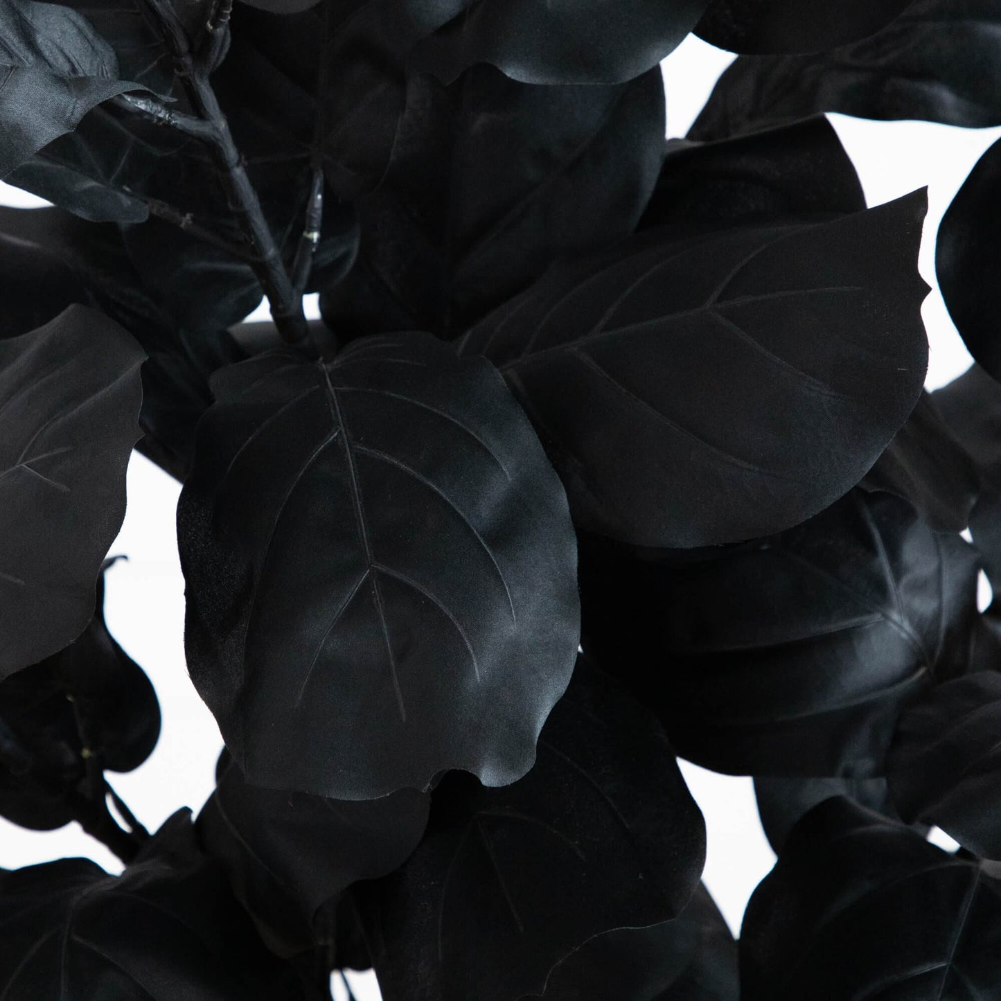 5' Artificial Halloween Black Fiddle Leaf Tree Nearly Natural black foliage closeup on Tampa Home & Garden Store