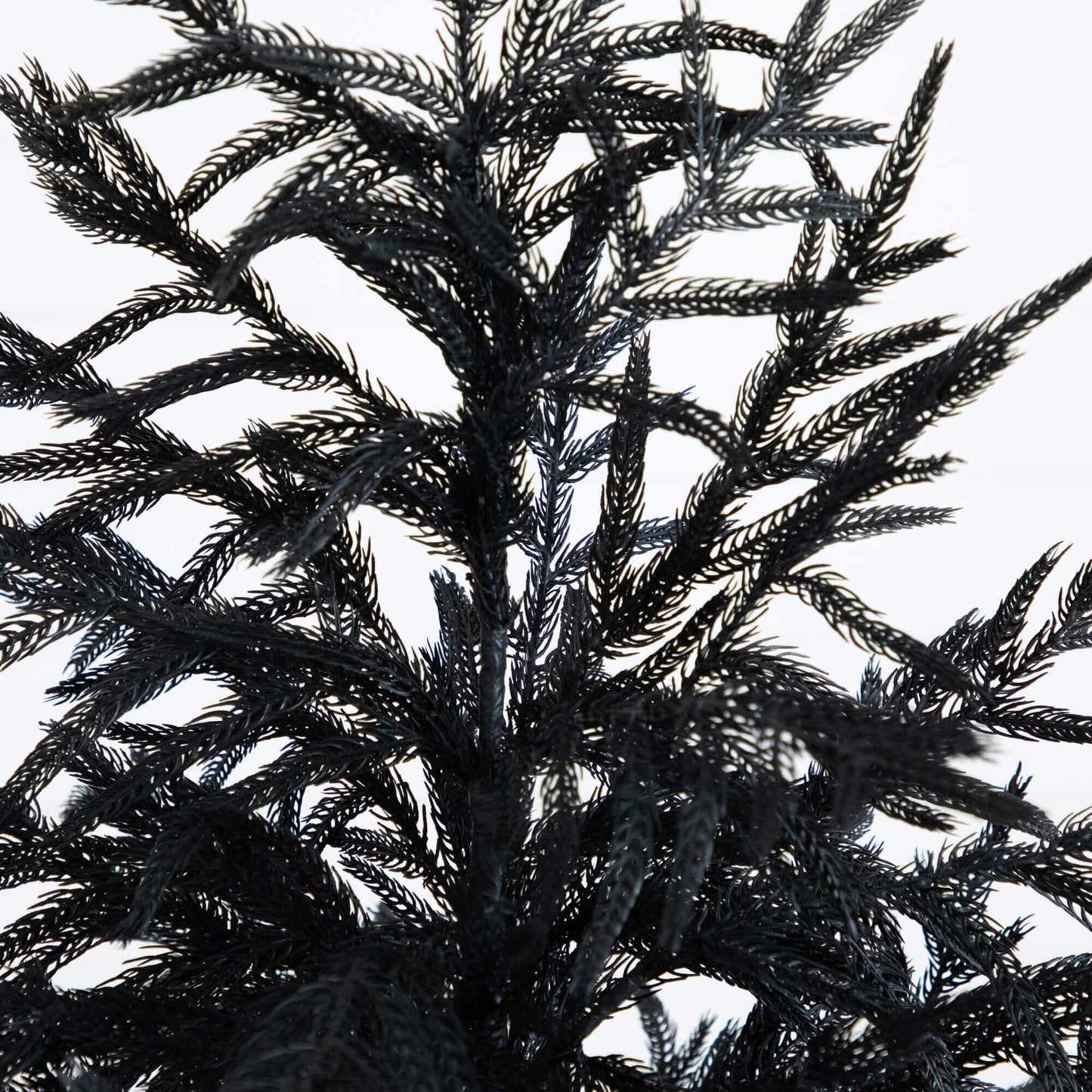 5' Nearly Natural Black Norfolk Pine artificial Christmas tree with real touch on Tampa Home & Garden Store