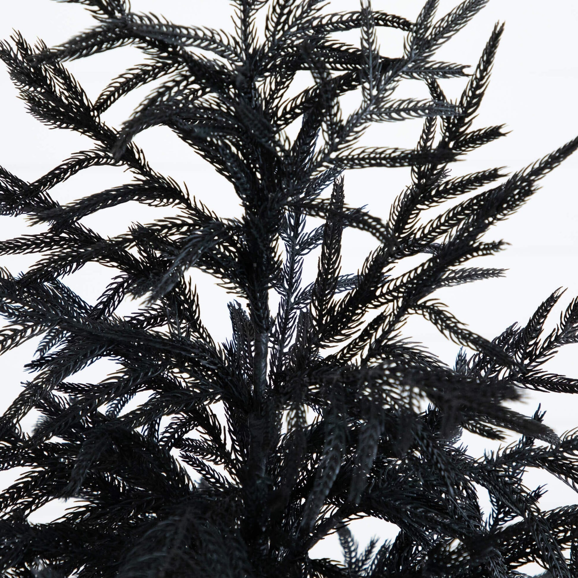 5' Nearly Natural Black Norfolk Pine artificial Christmas tree with real touch on Tampa Home & Garden Store