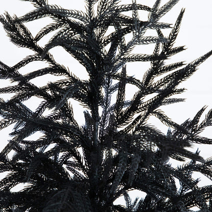 5' Nearly Natural Black Norfolk Pine artificial Christmas tree with real touch on Tampa Home & Garden Store