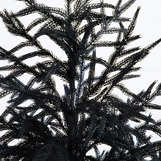 5' Nearly Natural Black Norfolk Pine artificial Christmas tree with real touch on Tampa Home & Garden Store