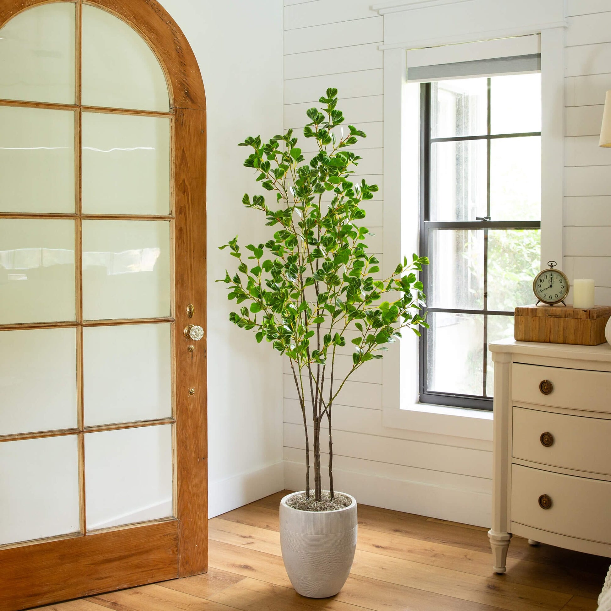 5' artificial heart-shaped ficus leaf tree by Nearly Natural in a gray ribbed planter indoors on Tampa Home & Garden Store