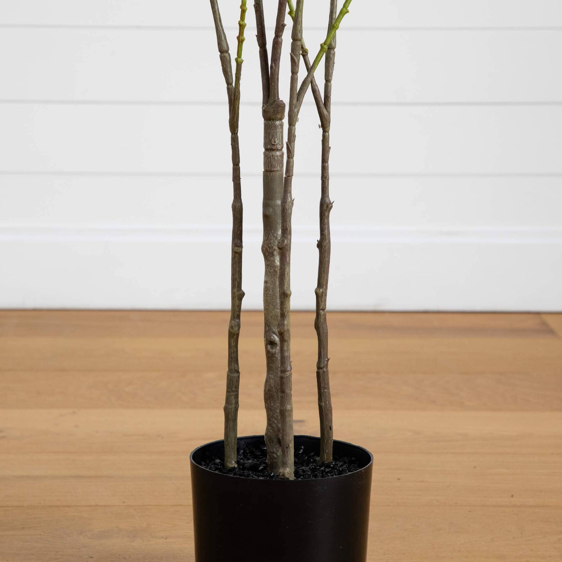5' artificial heart-shaped ficus leaf tree by Nearly Natural in a black planter on Tampa Home & Garden Store