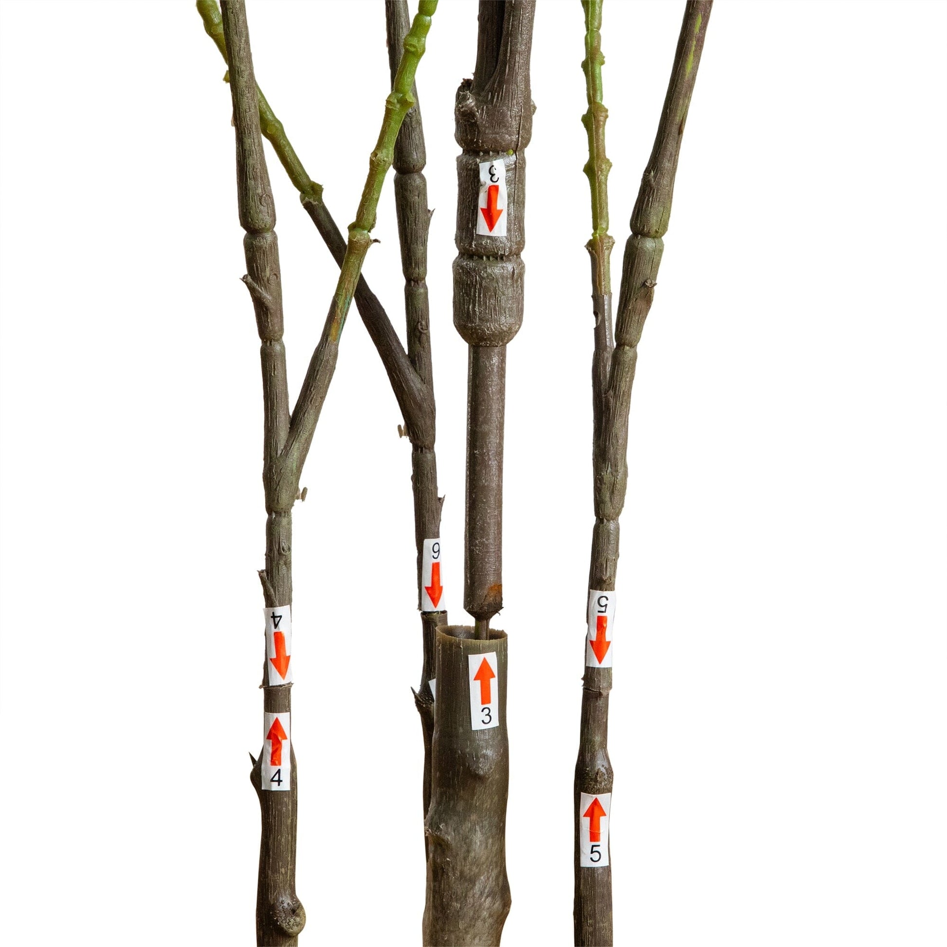 5' artificial heart-shaped ficus leaf tree Nearly Natural brown stems with numbered labels on Tampa Home & Garden Store