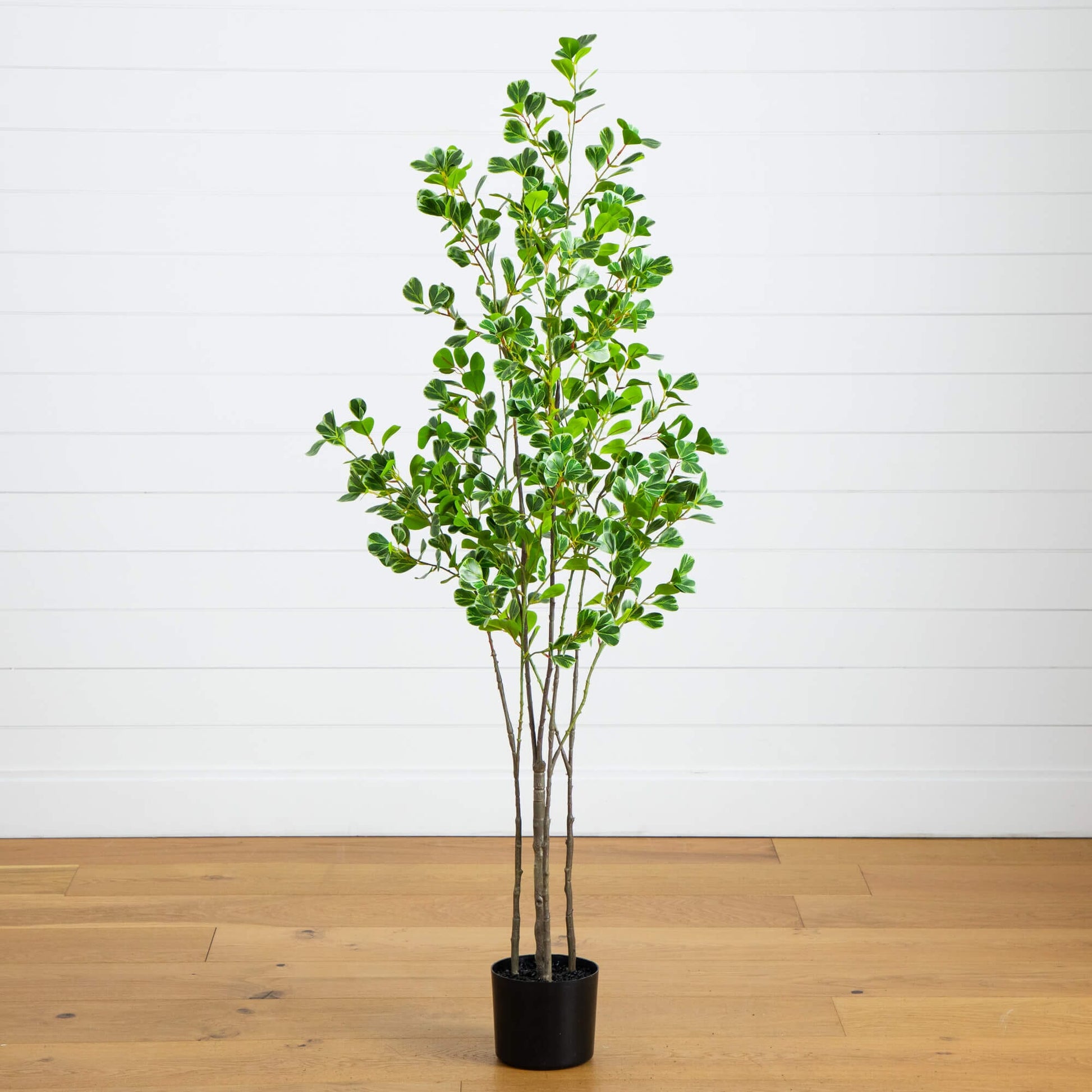 5' artificial Nearly Natural heart-shaped ficus leaf tree in a black pot, multi stem plant on Tampa Home & Garden Store