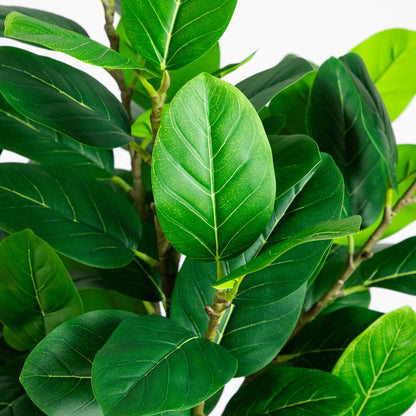 5' Artificial Petite Audrey Ficust Tree by Nearly Natural with glossy green leaves on Tampa Home & Garden Store