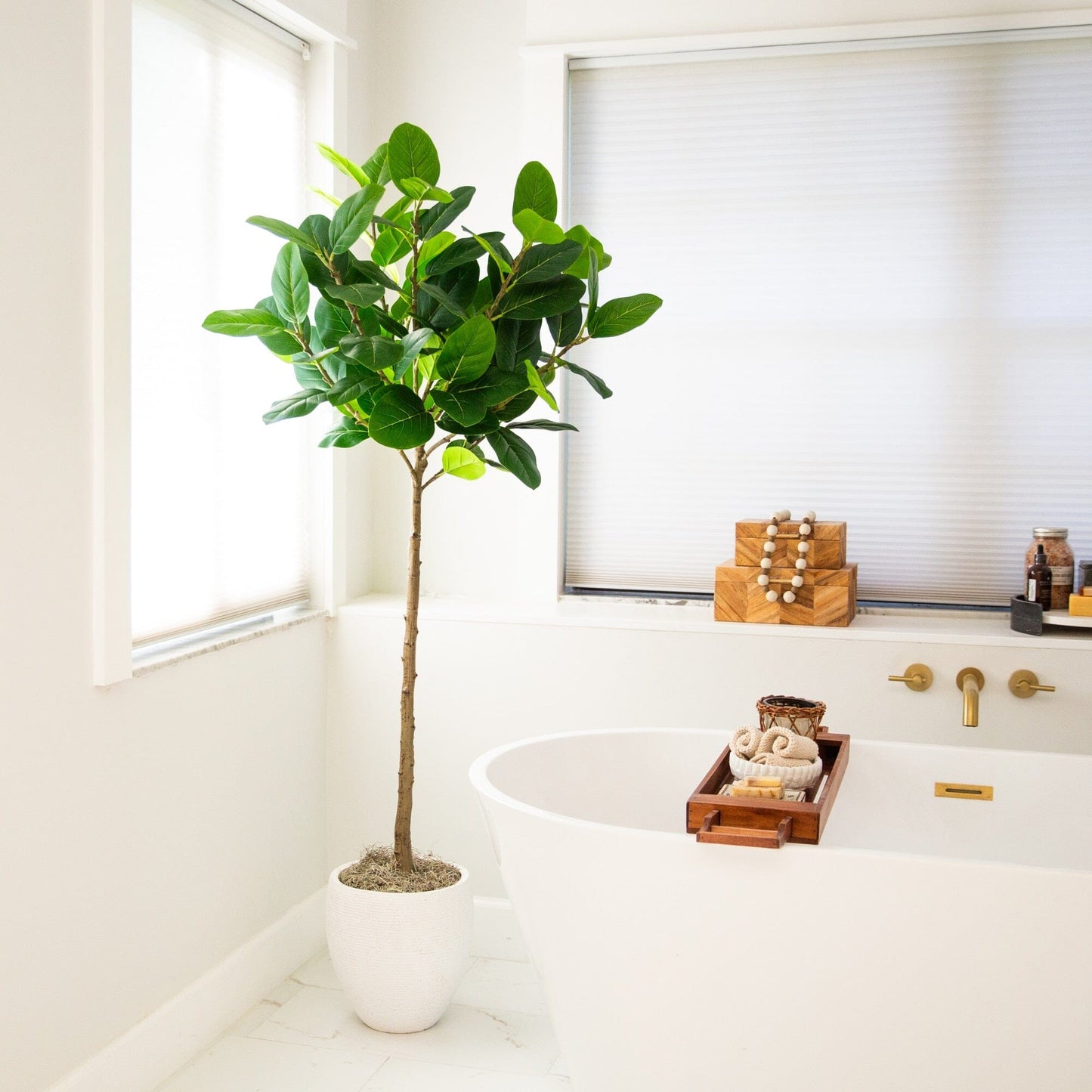 5' Artificial Petite Audrey Ficus Tree by Nearly Natural in a white textured pot on Tampa Home & Garden Store