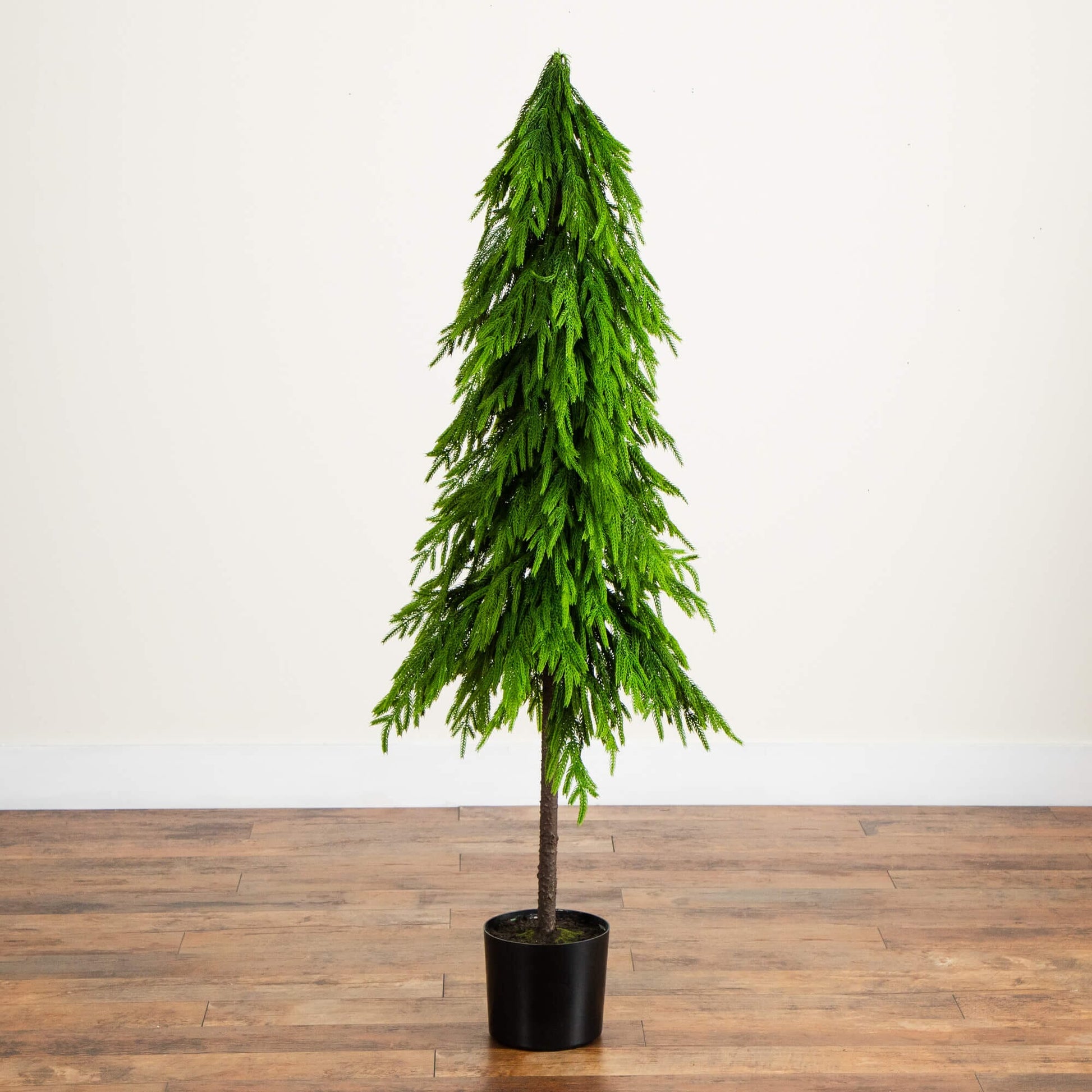 Tree 5 ft artificial Down Swept Norfolk Pine by Nearly Natural in black pot with green foliage on Tampa Home & Garden Store