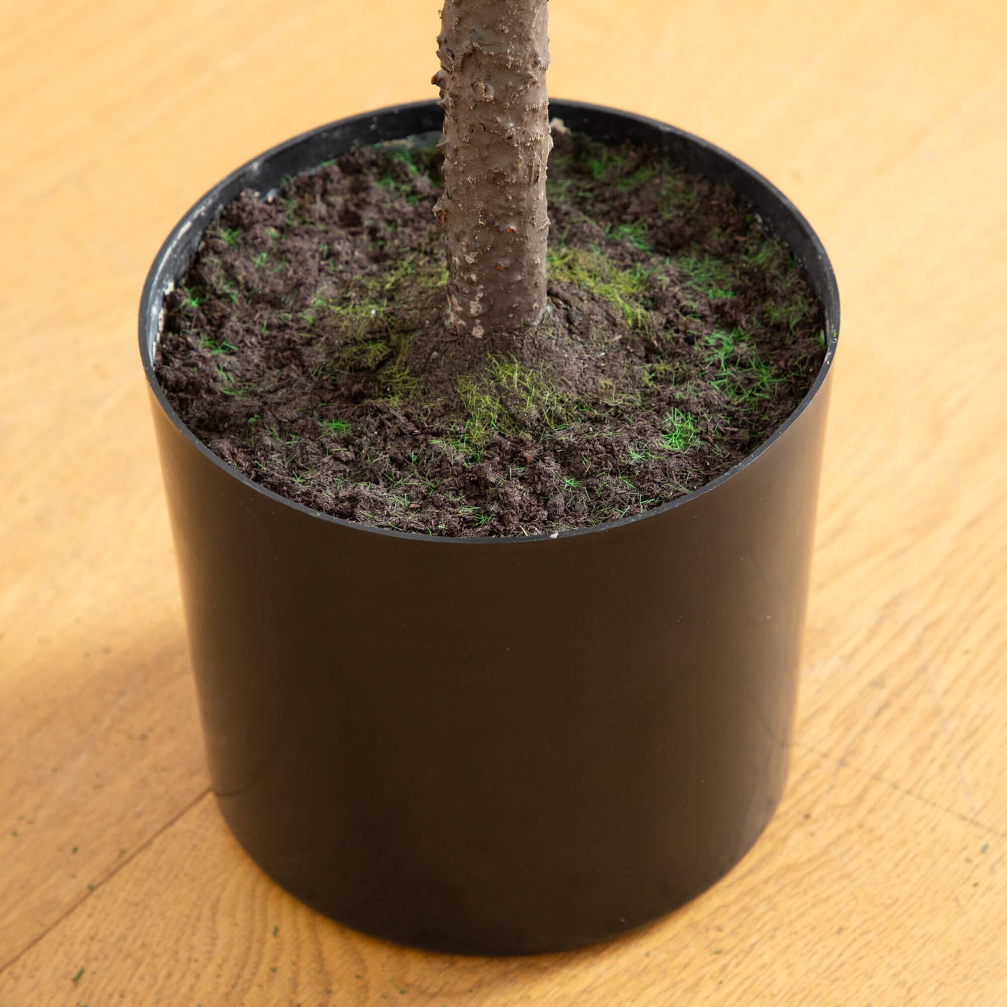 5' artificial Norfolk pine tree by Nearly Natural in brown pot with moss on Tampa Home & Garden Store