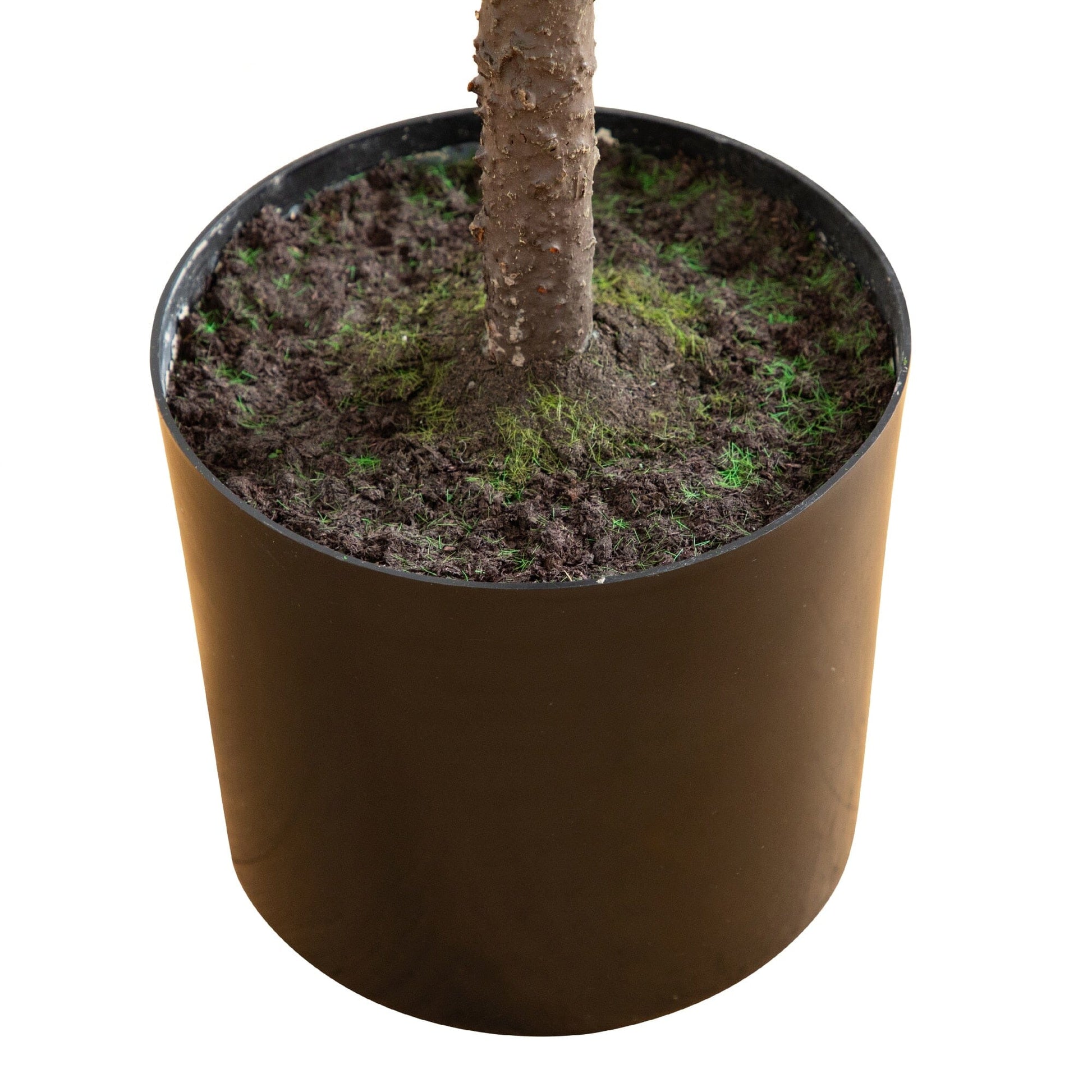 5' artificial real touch Norfolk Pine tree in brown pot with soil and moss Nearly Natural on Tampa Home & Garden Store
