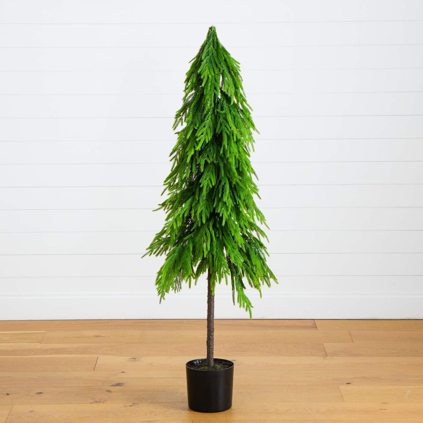 5' artificial Norfolk Pine tree by Nearly Natural with real-touch foliage in a black pot on Tampa Home & Garden Store