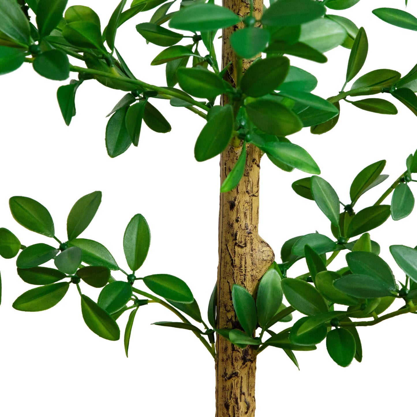 5' Artificial Shady Lady Black Olive Tree with glossy green leaves and textured trunk on Tampa Home & Garden Store