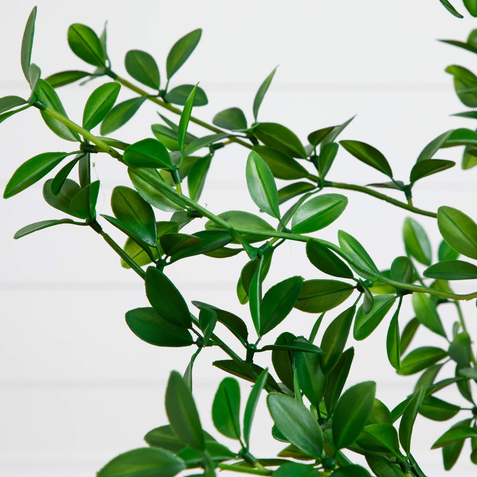 5' Artificial Shady Lady Black Olive Tree with lifelike green leaves by Nearly Natural on Tampa Home & Garden Store