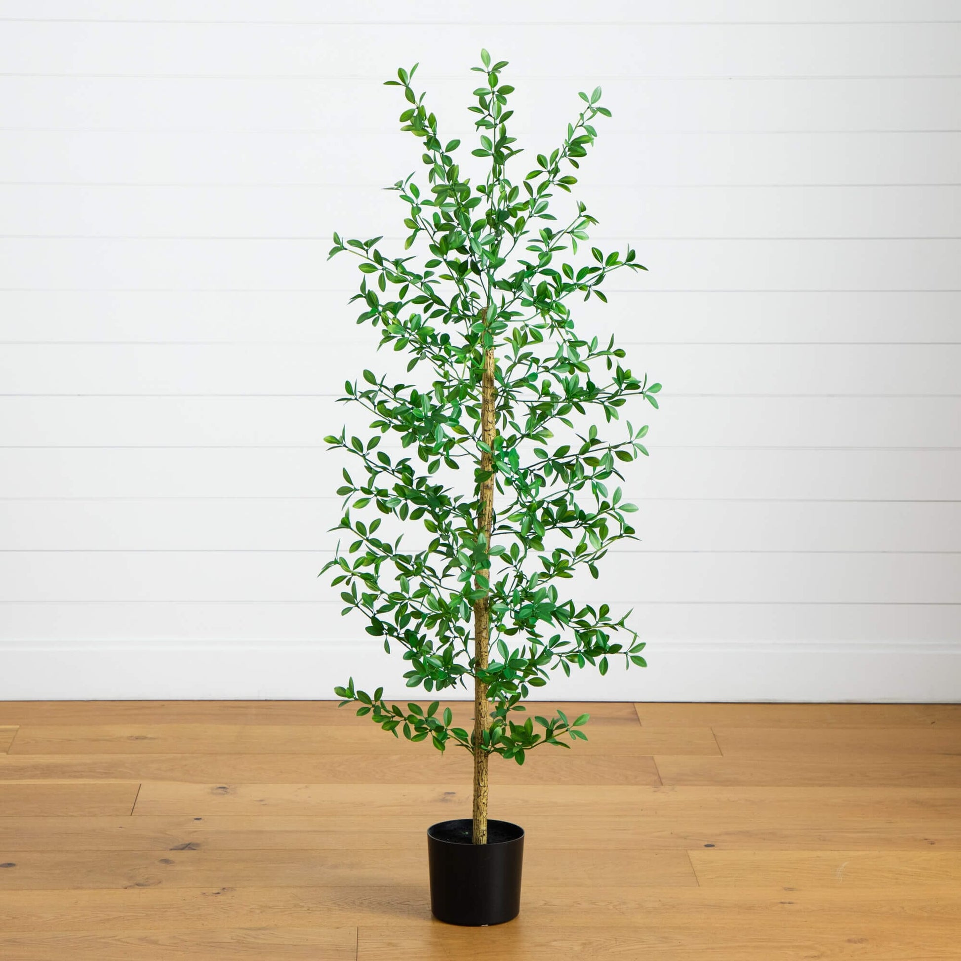 5 ft Artificial Shady Lady Black Olive Tree in black pot by Nearly Natural on Tampa Home & Garden Store
