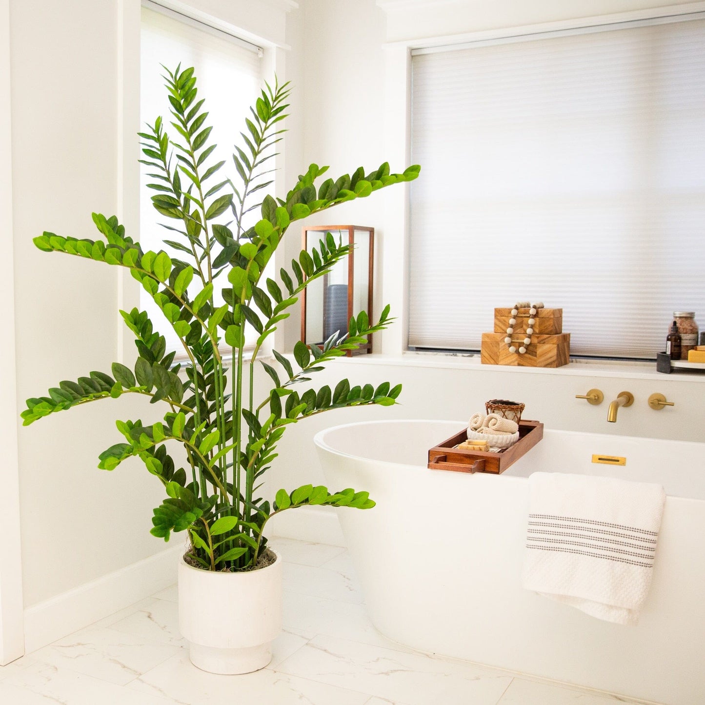 5' Nearly Natural Zamioculcas plant with tall stems and glossy leaves in a white pot on Tampa Home & Garden Store