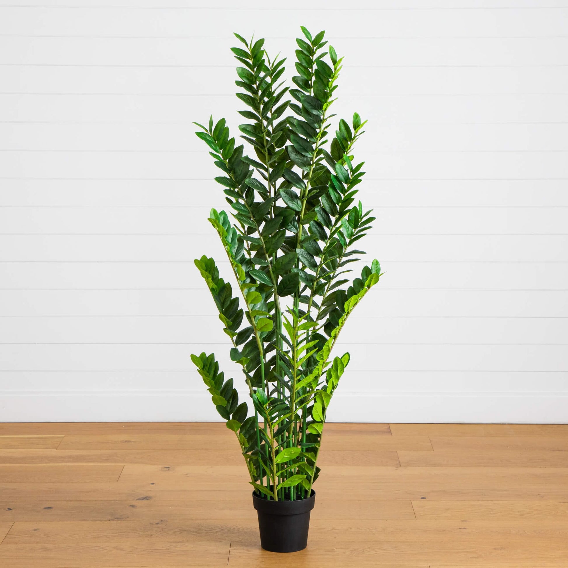 5' Artificial Zamioculcas Plant by Nearly Natural; tall ZZ plant with green leaves in black pot on Tampa Home & Garden Store