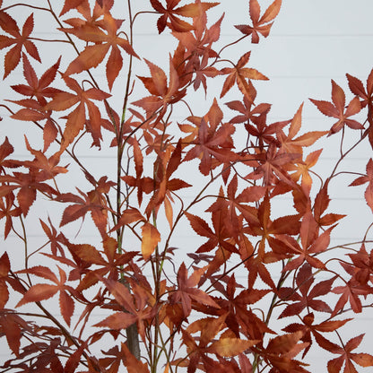 5' Autumn Japanese Maple artificial tree with red-orange leaves on Tampa Home & Garden Store