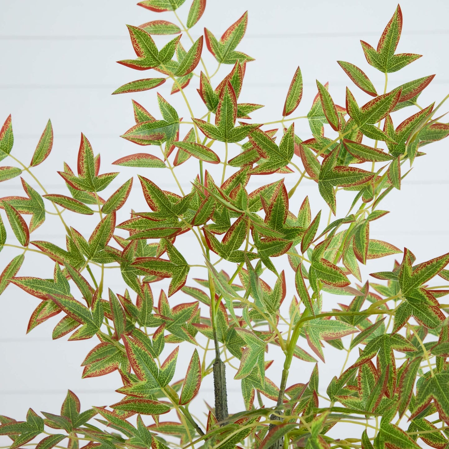 5' Autumn Nandina Artificial Fall Tree by Nearly Natural with green and red-tipped leaves on Tampa Home & Garden Store