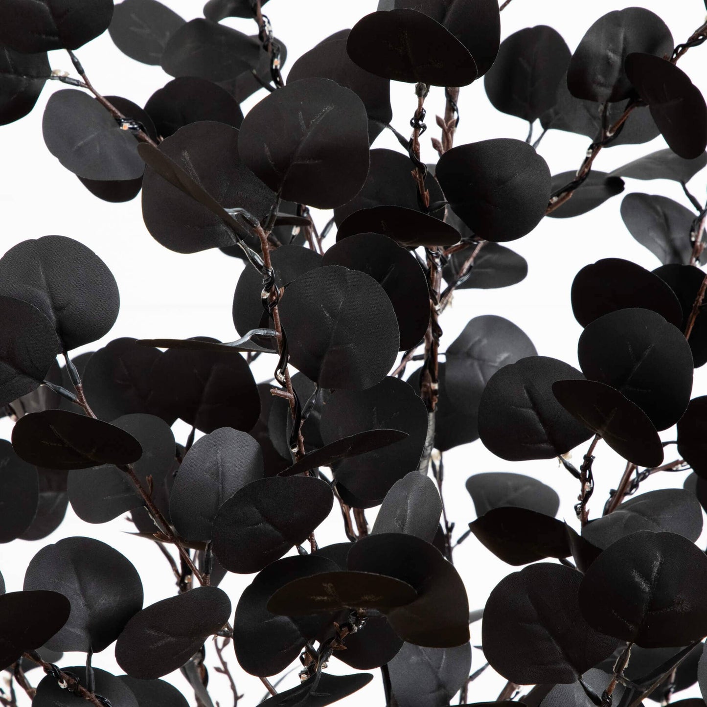 5' Artificial Halloween Black Eucalyptus Tree with dark leaves on Tampa Home & Garden Store