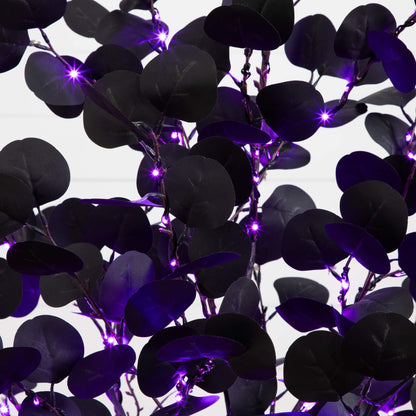 5 ft Pre-Lit artificial Halloween black eucalyptus tree with orange and purple LEDs on Tampa Home & Garden Store